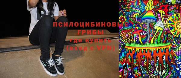 стафф Аркадак