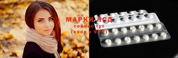 стафф Аркадак