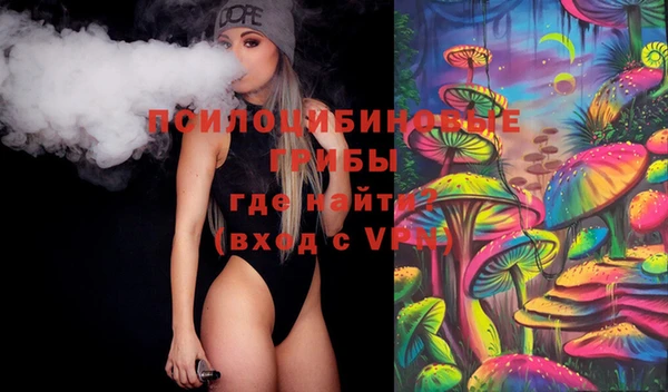 стафф Аркадак