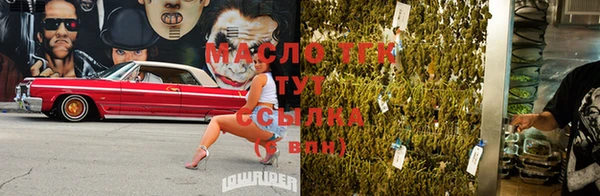 стафф Аркадак