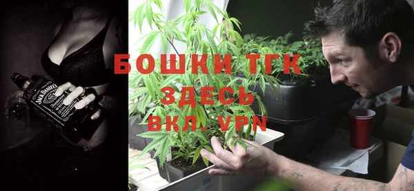 стафф Аркадак