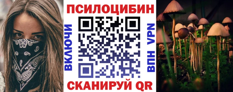 Галлюциногенные грибы прущие грибы  Чудово 